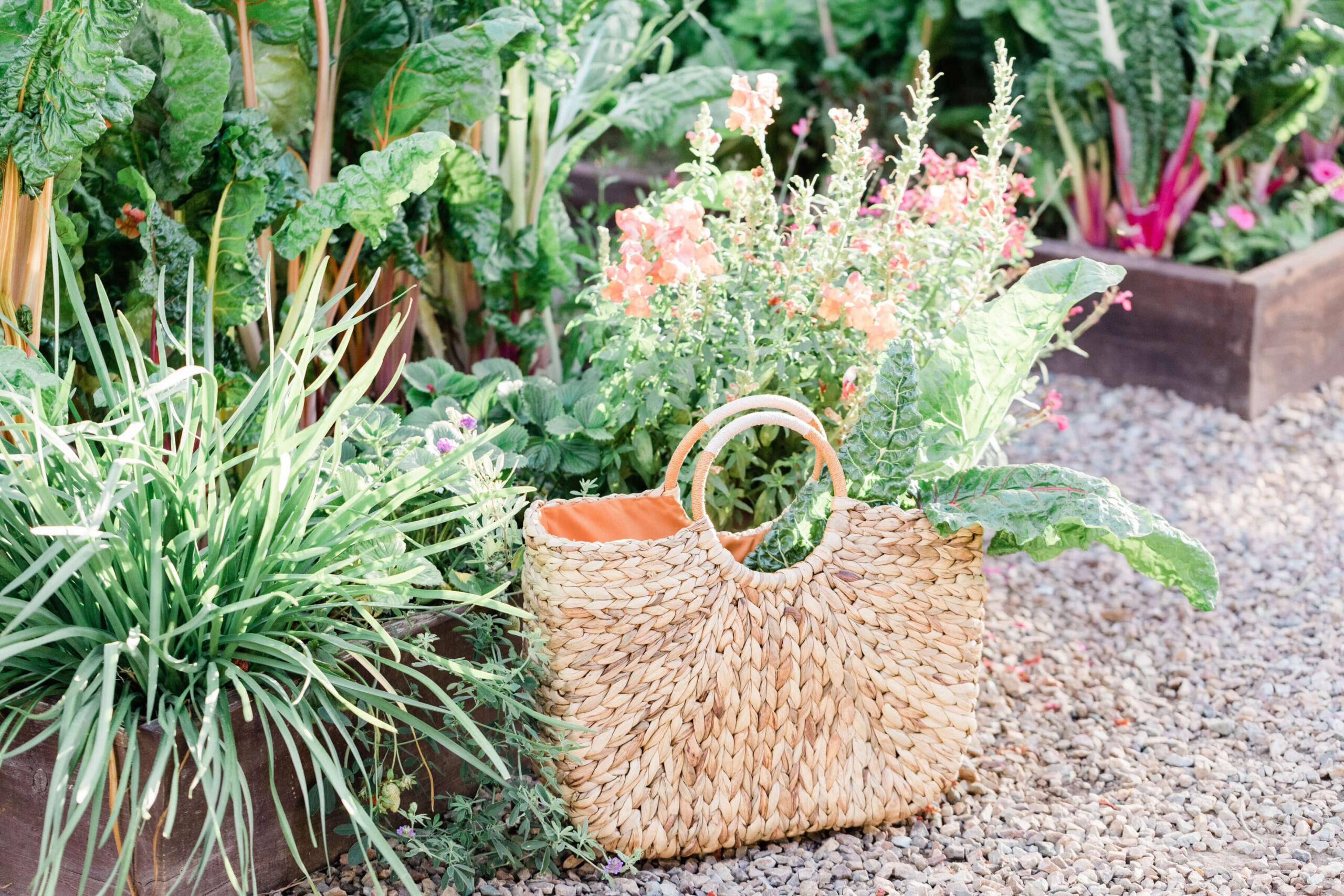 farmers market basket surrounded by plants and veggies