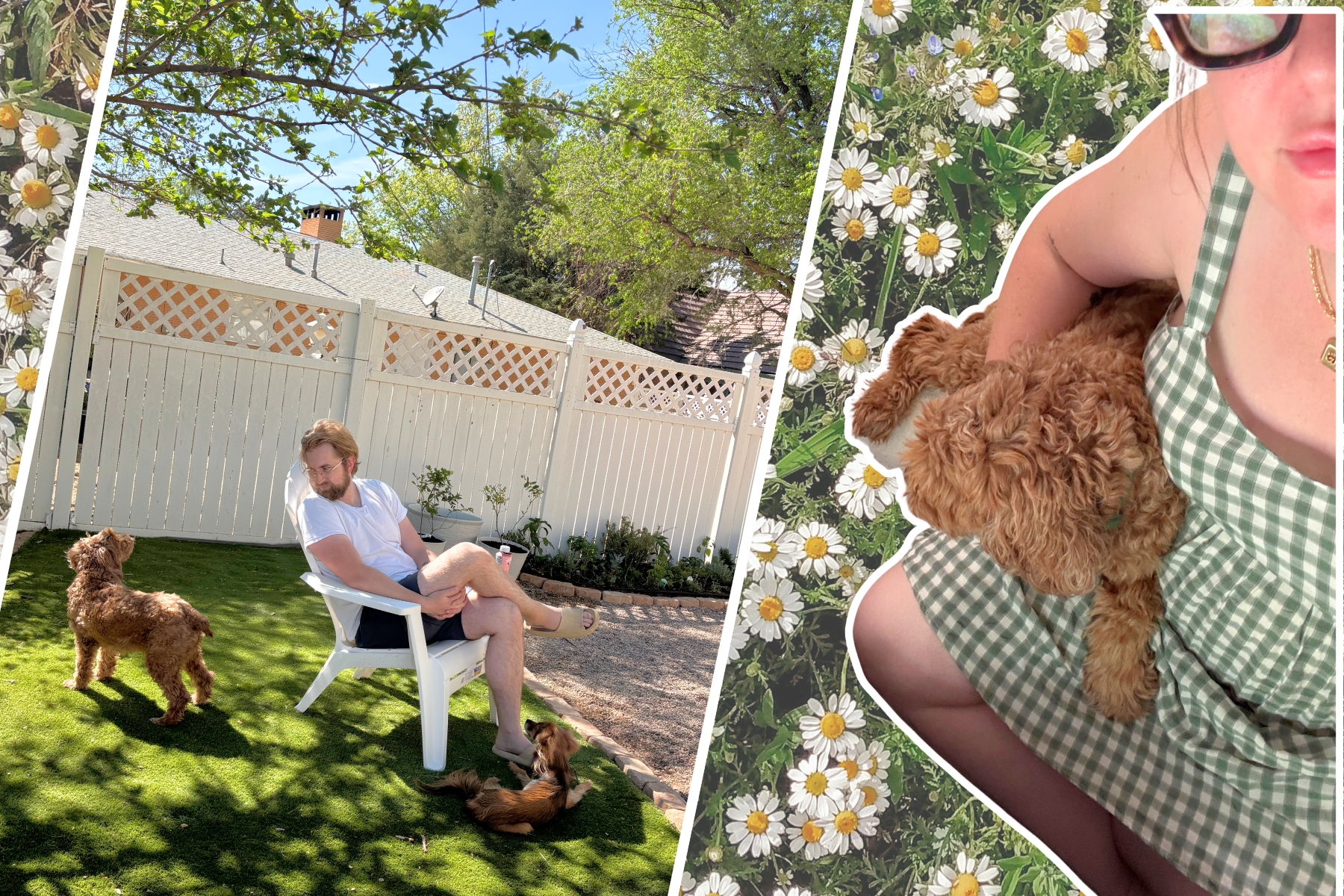 Sam sitting with her brittany doodle on her lap, and Jeff sitting outside with both dogs, both photos are collaged on a background of chamomile